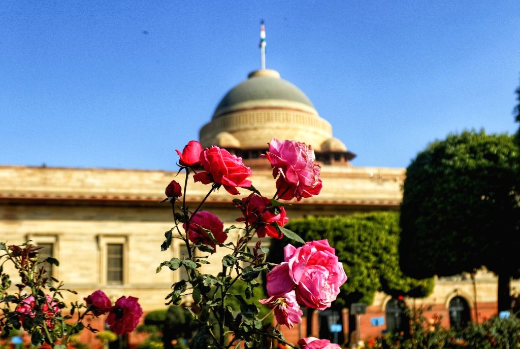 Amrit Udyan : राष्ट्रपति भवन का अमृत उद्यान आज से ओपन, बिना टिकट खर्च किए करें सैर, जानें टाइमिंग और टिकट बुकिंग का प्रोसेस