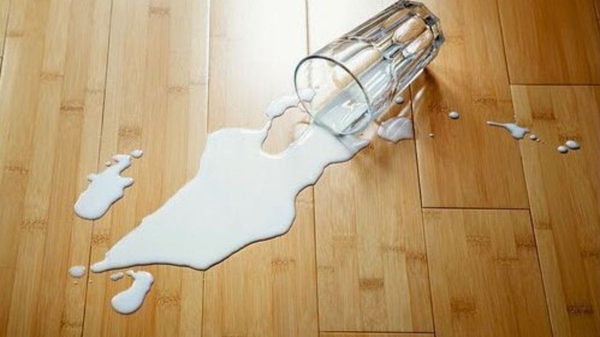 Shakun Shastra : हाथ से ये 5 चीजों का गिरना क्यों माना जाता है अशुभ? जानें शकुन शास्त्र में बताए गए संकेत