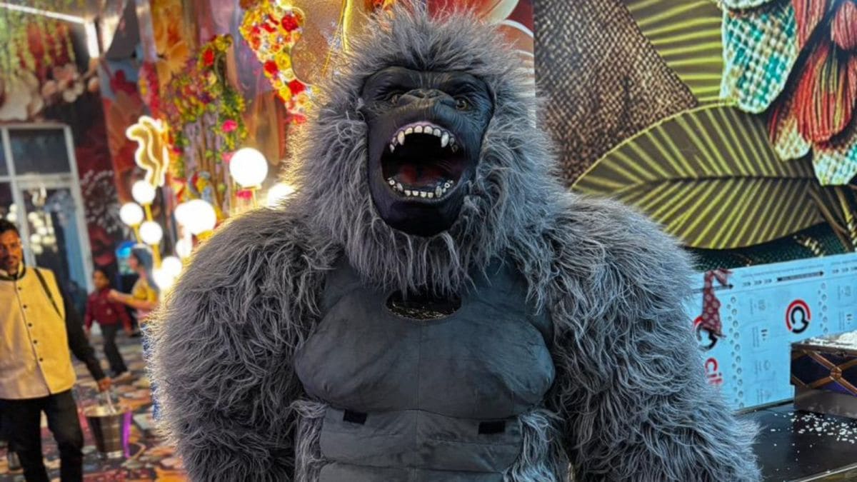 शादी-पार्टी में गोरिल्ला डांस का क्यों बढ़ रहा इतना ट्रेंड? जानिए क्रेज की वजह