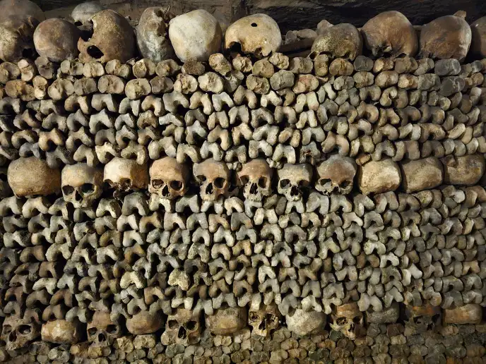 पेरिस में 60 लाख कंकालों का खौफनाक साम्राज्य, कमजोर दिल वाले न जाएं, रूह तक कांप जाएगी