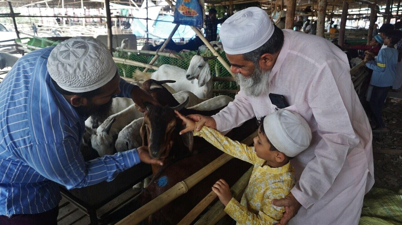 बकरीद पर क्यों देखे जाते हैं बकरे के दांत? जानिए कुर्बानी से जुड़े अहम नियम और असली मायने