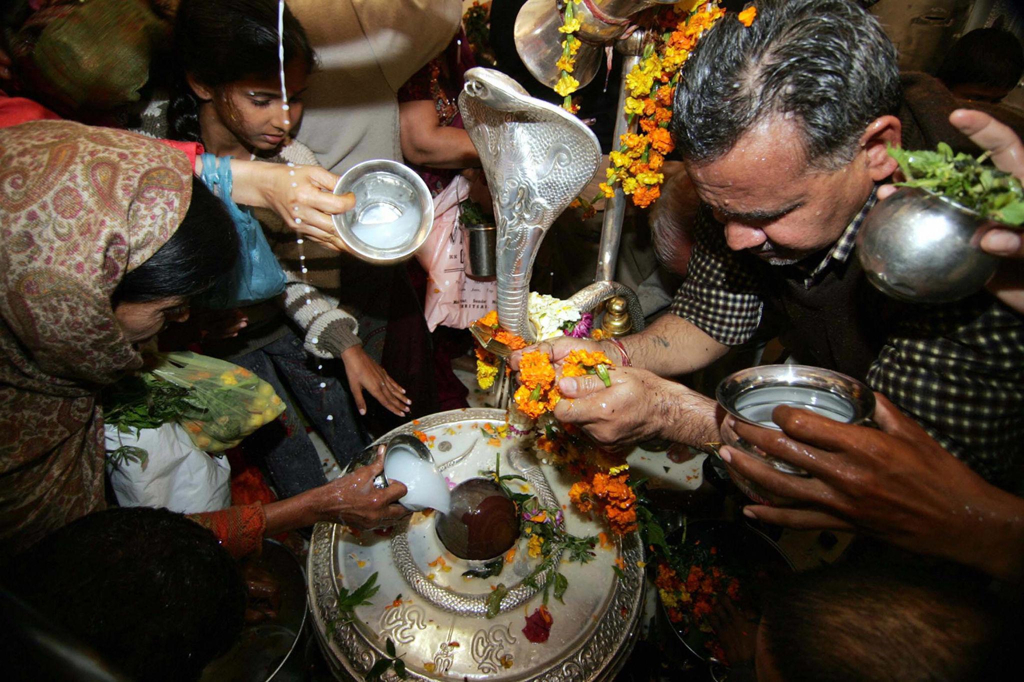 ज्येष्ठ शिवरात्रि पर 27 साल बाद बन रहा दुर्लभ गौरी योग, शिव-पार्वती की ऐसे करें पूजा मिलेगा दोगुना पुण्य!