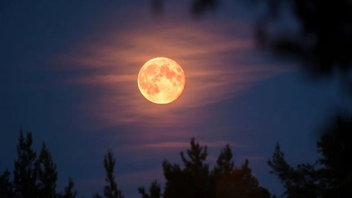 Ashadha Purnima 2026: कब है आषाढ़ पूर्णिमा? नोट करें तिथि, स्नान-दान का शुभ मुहूर्त और महत्व