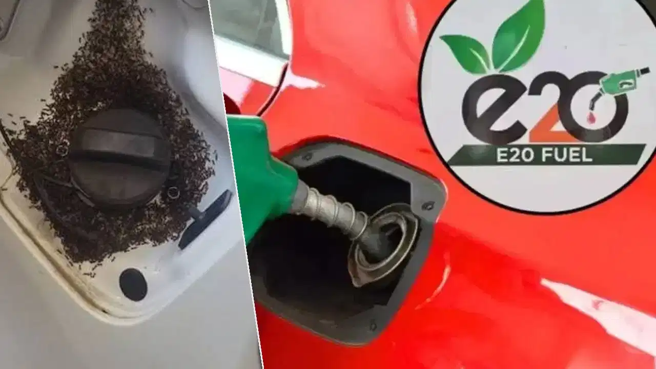 E20 Petrol Truth: E20 पेट्रोल से ‘इंजन खराब, चींटियां और जंग’ वाले दावों की खुली पोल, सरकार-ऑटो कंपनियों ने दी सफाई