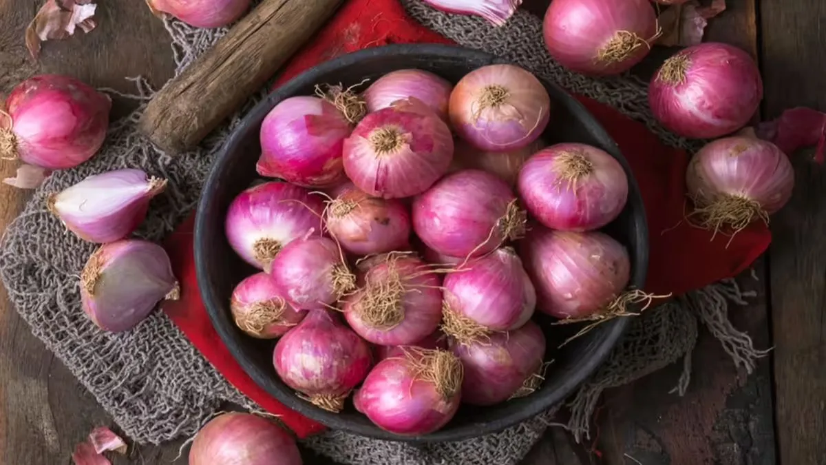 बारिश में भी महीनों तक ताजा रहेगा प्याज, बस अपनाएं ये आसान स्टोरेज टिप्स