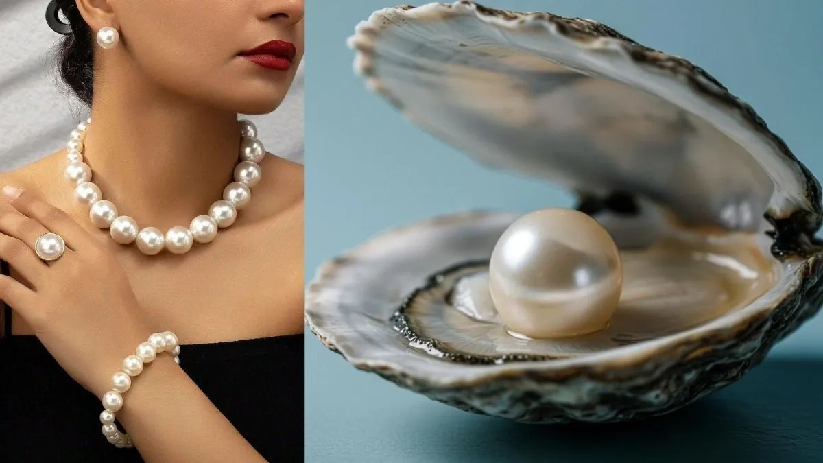 Pearl Gemstone: मोती पहनने से पहले जान लें ये जरूरी बातें, किस राशि के लिए शुभ और किसके लिए हो सकता है अशुभ