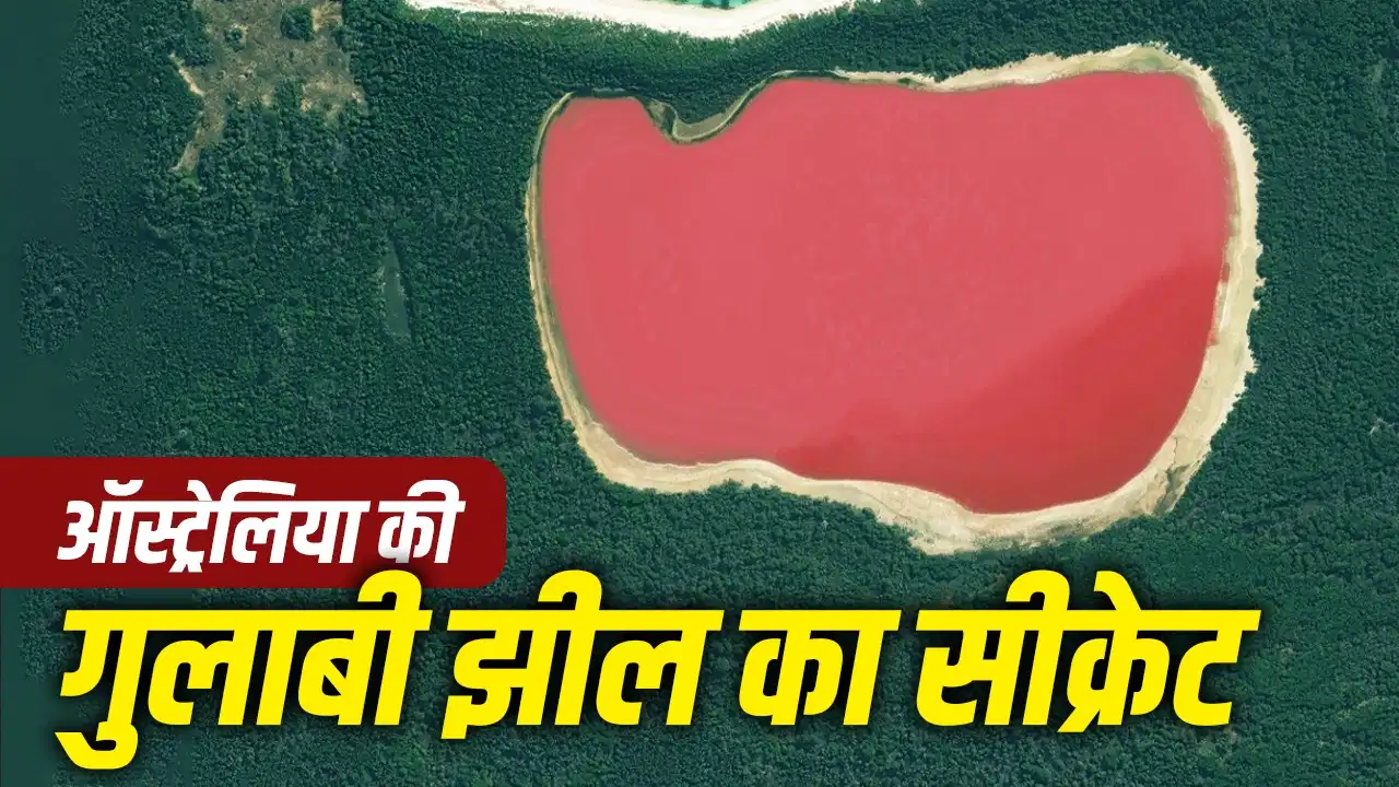 नीले समुद्र के बीच गुलाबी झील का रहस्य, लेक हिलियर के रंग के पीछे छिपा है विज्ञान