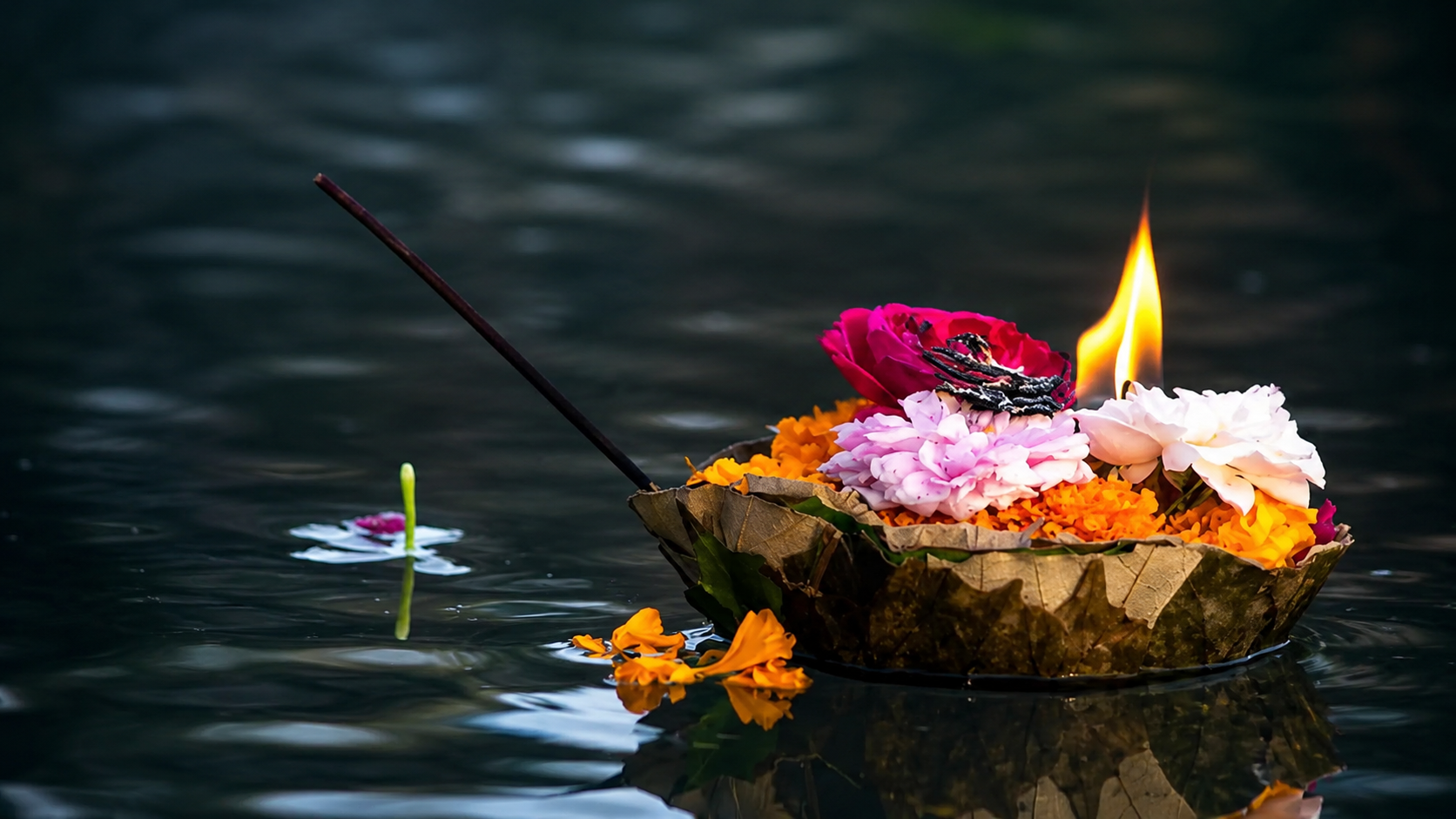 Bhado Month 2026: कब से शुरू होगा भादो का महीना? जानें भाद्रपद मास की तारीख, महत्व और प्रमुख त्योहार