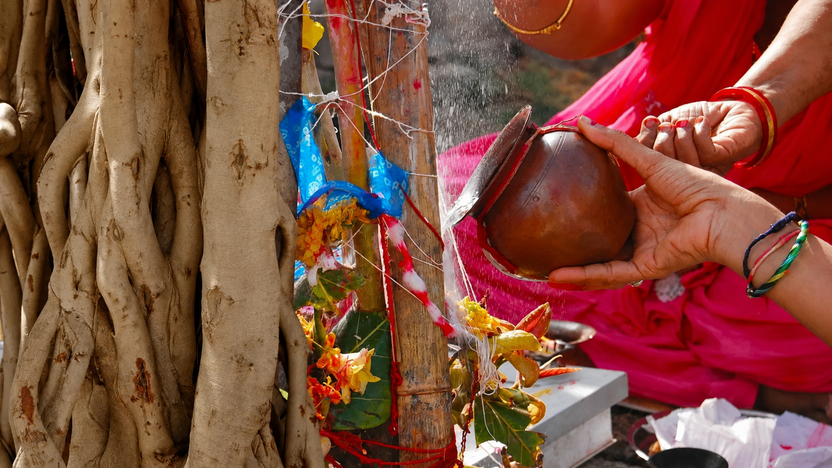 Kajari Teej 2026: कजरी तीज पर क्यों रखा जाता है व्रत? जानें पूजा विधि, नीमड़ी माता और चंद्र दर्शन का महत्व