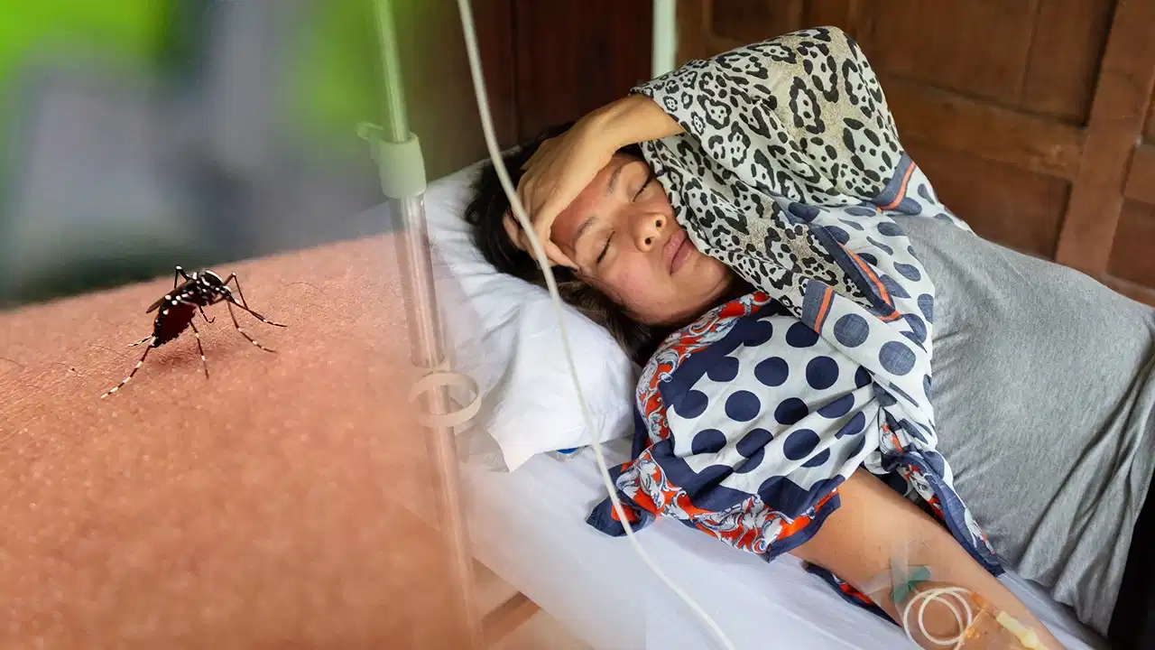Dengue Warning Signs: डेंगू में बुखार उतरने के बाद भी खतरा! इन लक्षणों को न करें नजरअंदाज