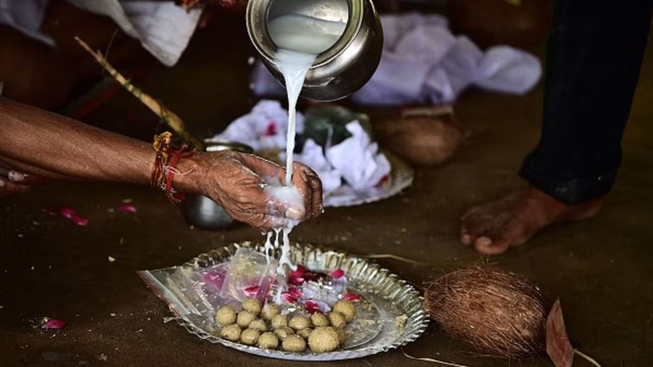 हरियाली अमावस्या पर क्या दान करें? अन्न, जल, वस्त्र या पौधा, जानिए किसका क्या महत्व