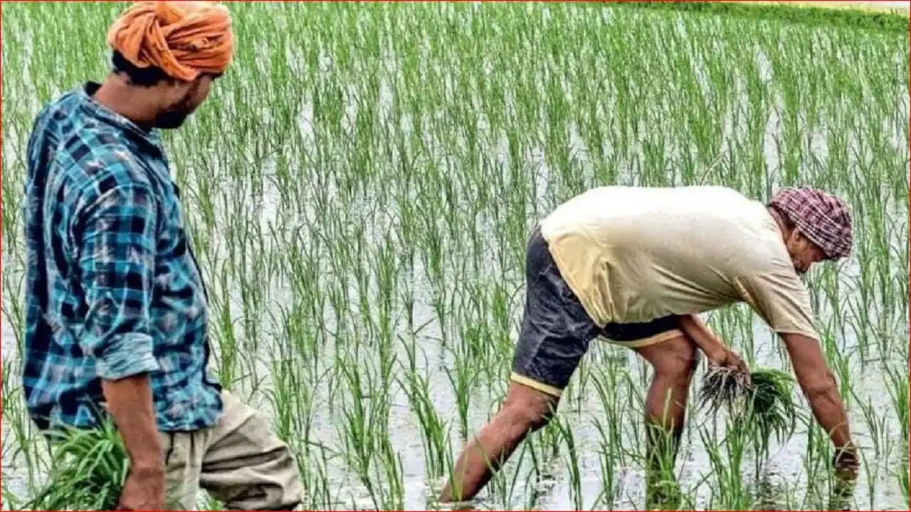 बिहार के 32 लाख किसानों पर मंडरा रहा संकट, Farmer ID नहीं बनी तो PM किसान समेत कई योजनाओं का रुक सकता है लाभ