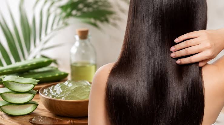 Hair Care: बालों की देखभाल के लिए घर पर बनाएं एलोवेरा शैंपू, जानें आसान तरीका और जरूरी सावधानियां