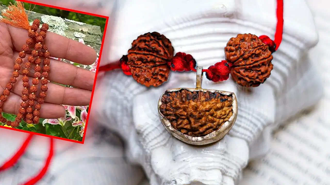 रुद्राक्ष पहनने के बाद नॉनवेज खाना सही या गलत? जानें धार्मिक मान्यताओं में क्या है नियम